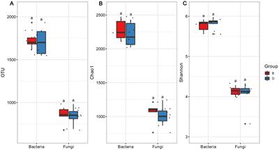 Improvement effect of biochar on soil microbial community structure and metabolites of decline disease bayberry